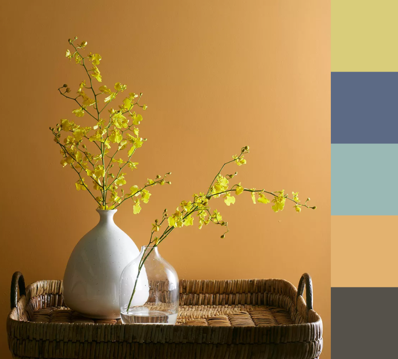 Benjamin Moore Classics® Color Collection color collection